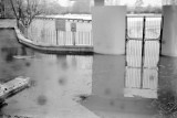 Powódź stulecia w marcu 1979 roku. 40 lat temu wielka woda zalała Kalisz. ZDJĘCIA