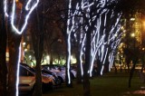 Świąteczna iluminacja w Gdyni. Jaka będzie? [ZDJĘCIA]