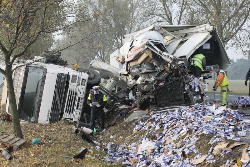 WYPADEK - Zderzyły się ciężarówki. Kierujący jedną z nich wypadł z kabiny. ZOBACZ ZDJĘCIA