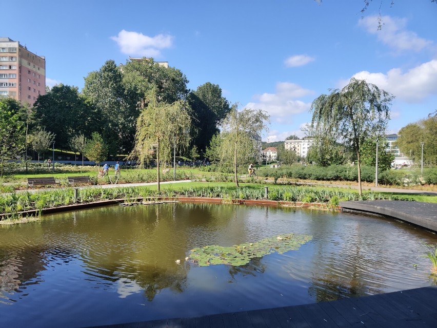 Park Centralny w Gdyni. Czy mieszkańcy polubią nowe serce miasta? 