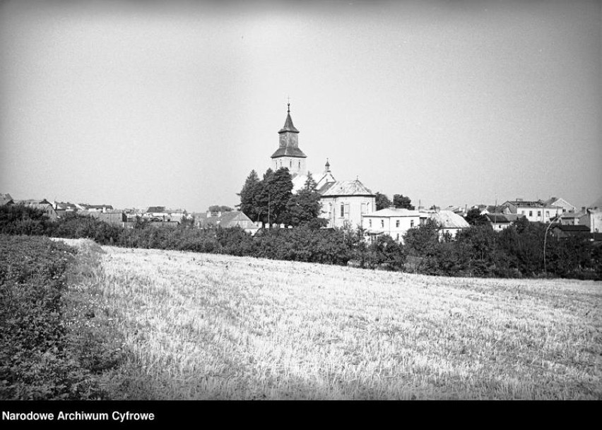 Panorama miasta z widocznym kościołem Wniebowzięcia NMP....