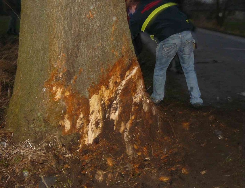 W wypadku w Żuławkach trzy osoby zginęły na miejscu. Ich...