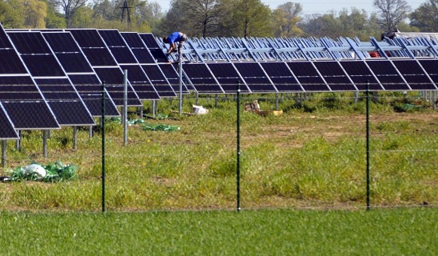 Na Widziszowie w Głogowie powstaje duża farma słoneczna