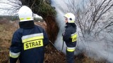 Oleśnica: Ochotnicy interweniowali przy palącym się drzewie (ZDJĘCIA) 