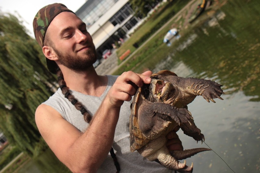 W Parku Traugutta w Kutnie polowali na niebezpiecznego żółwia jaszczurowatego [ZDJĘCIA]