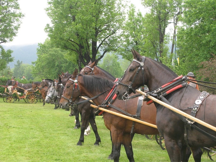 Zakopane: góralskie dorożki są w pełni sprawne [FOTO]