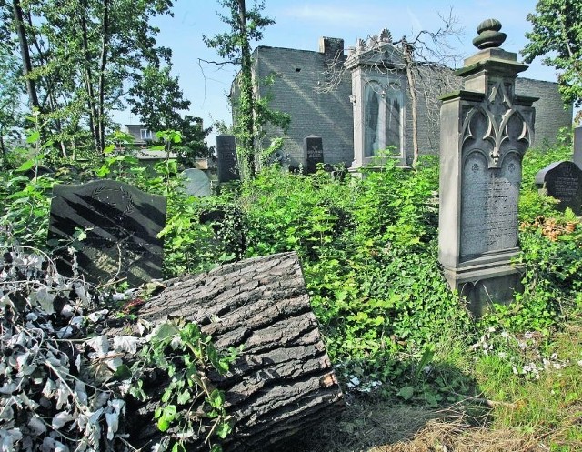 Żydowska nekropolia popada w ruinę, bo gmina jest biedna
