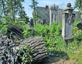Legnica: Żydowski cmentarz popadnie w ruinę?