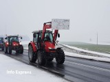 Strajk rolników na drodze krajowej nr 11. "Polska wieś weszła w stan stagnacji a nawet powolnego umierania" ZDJĘCIA