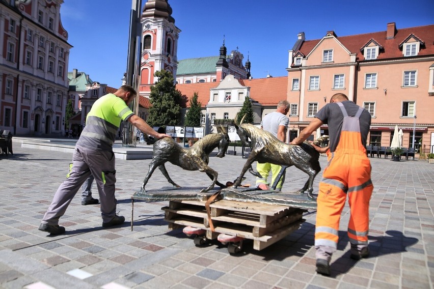 Koziołki wróciły na swoje stare miejsce na placu...