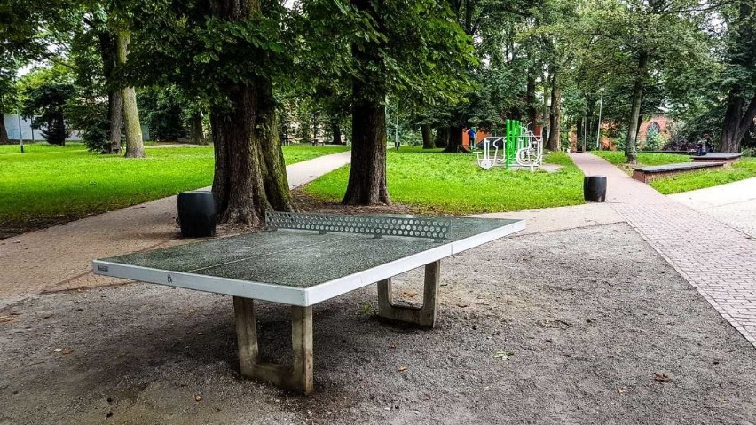 Park w centrum Szczecina będzie jeszcze piękniejszy