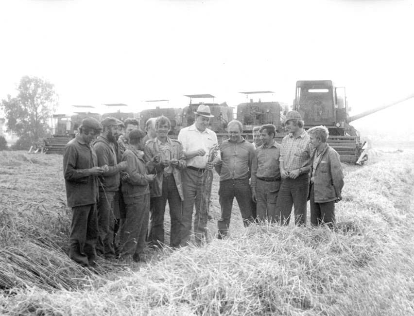 Agrofirma Witkowo ma 70 lat. Zobacz ARCHIWALNE ZDJĘCIA 