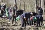 Maraton dla Ziemi w Słupsku. Wielkie sadzenie lasu na granicy miasta i gminy Słupsk