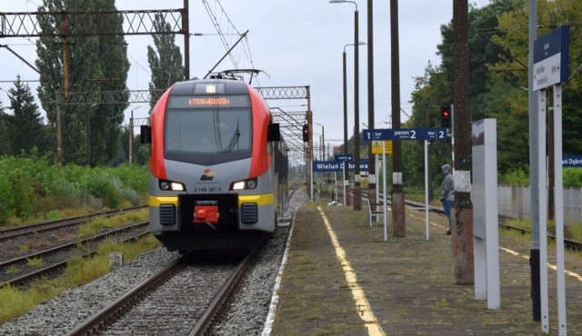 Wyłonienie projektanta nowej linii to kolejny ważny krok na drodze do uruchomienia codziennych kursów pasażerskich z Wielunia do Łodzi. Jest to jedno z ponad 30 przedsięwzięć w Polsce, które zakwalifikowano do realizacji w ramach Programu Uzupełniania Lokalnej i Regionalnej Infrastruktury Kolejowej (Kolej plus), realizowanego pod egidą Ministerstwa Infrastruktury. Linia wieluńska uzyskała jedną z lepszych ocen w całym kraju.