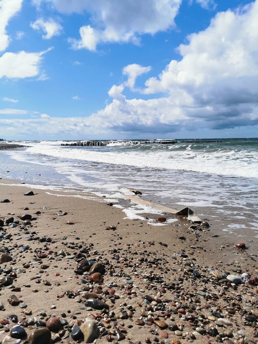 Plaże w regionie i nie tylko - galeria zdjęć. Autorami są...