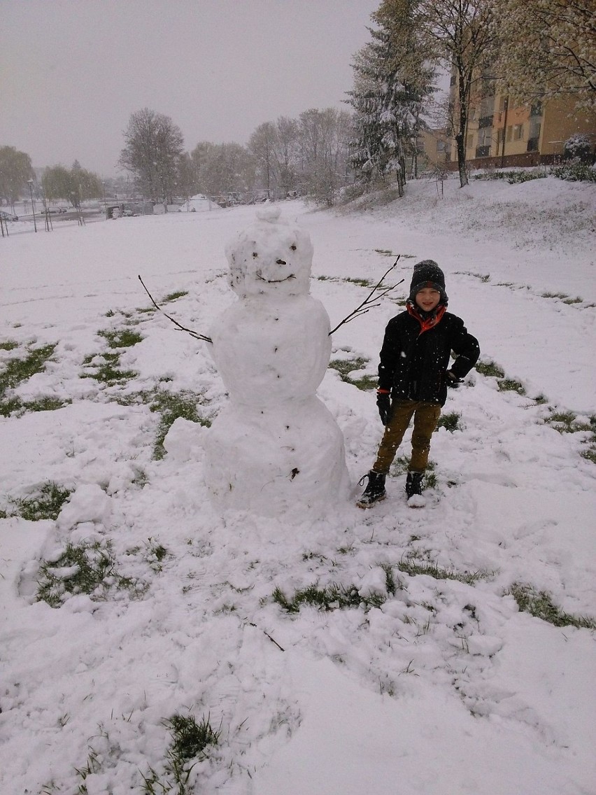 Zimowy bałwan na wiosnę w Busku - Zdroju. Zdjęcie nadesłał...