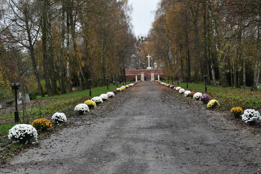 Zamość: pomniki i miejsca pamięci przyozdobione chryzantemami