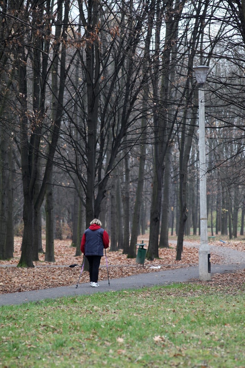 Na razie w drugim pod względem wielkości krakowskim parku...