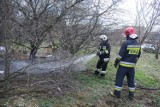 Pożar w Gronowie. Ktoś podłożył ogień na ulicy Tarkowskiego obok bloków? [ZDJĘCIA]