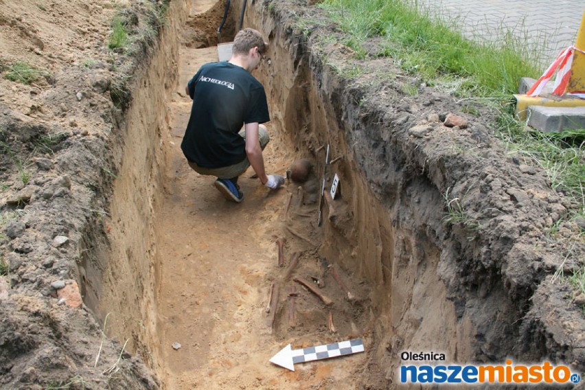 W Oleśnicy znaleziono kości