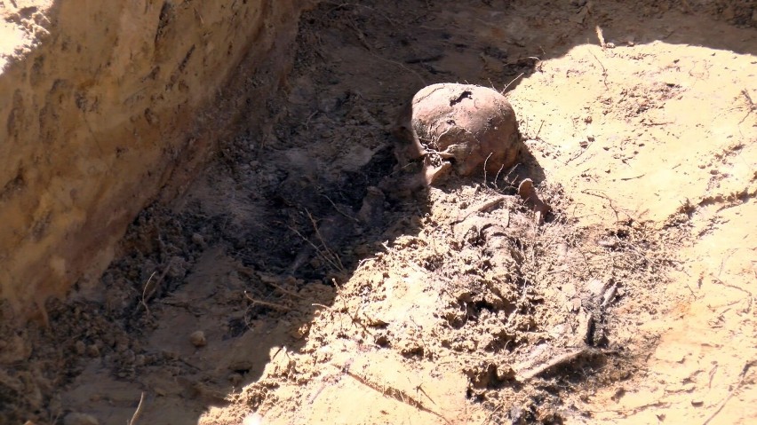 Odkryte podczas rewitalizacji Parku Tysiąclecia szczątki...
