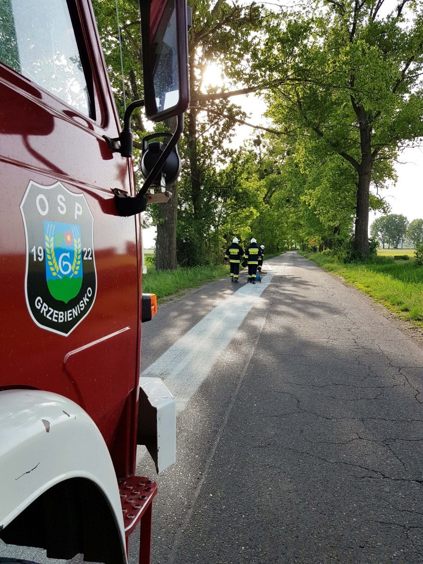 Strażacy z Grzebieniska i Ceardza usuwali plamę na drodze