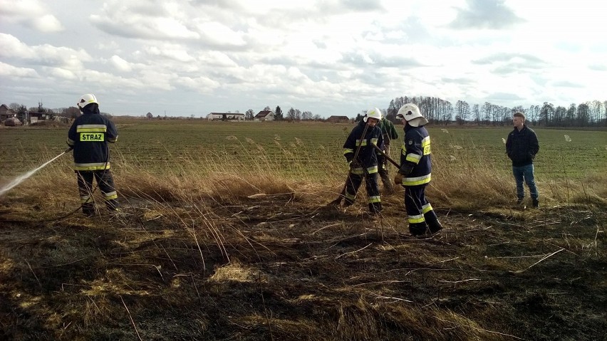 Ten pożar wybuchł 28 lutego w miejscowości Lubczyno....