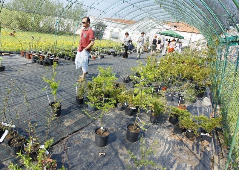 Ogród Botaniczny UAM w Poznaniu