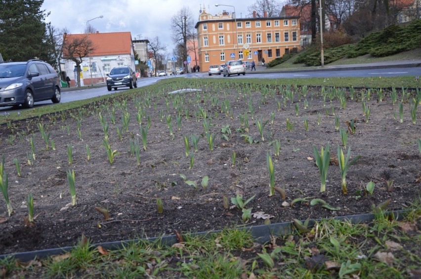 Wygląda na to, że zima już powoli dobiega końca. I bardzo...