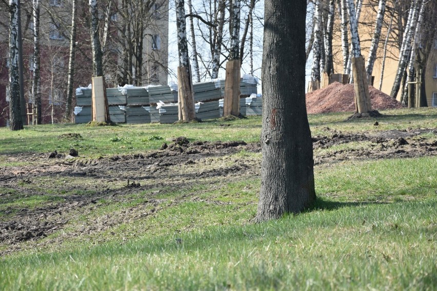 2,4 miliona złotych dla Starachowic na zagospodarowanie terenów zielonych
