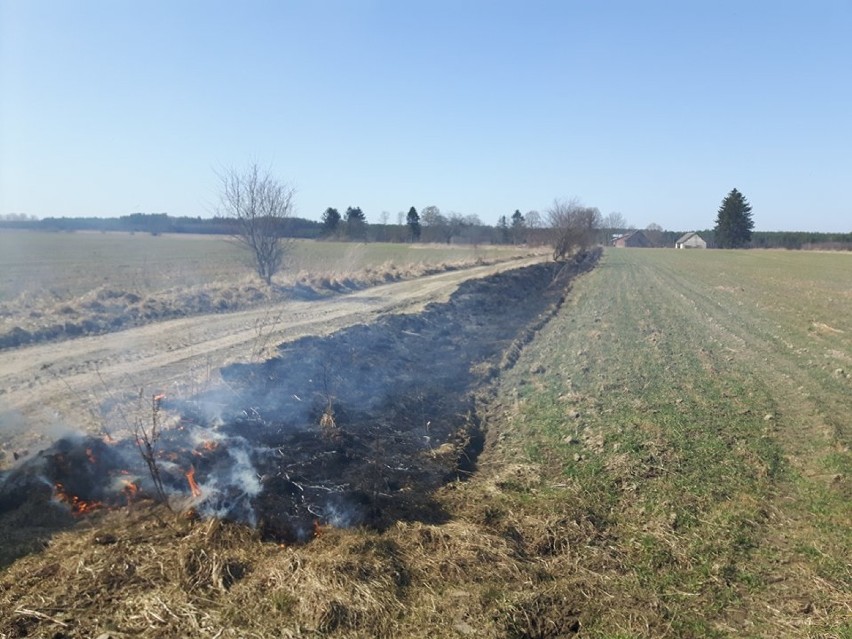 Ochotnicza Straż Pożarna w Lotyniu przywitała wiosnę ... pożarem traw