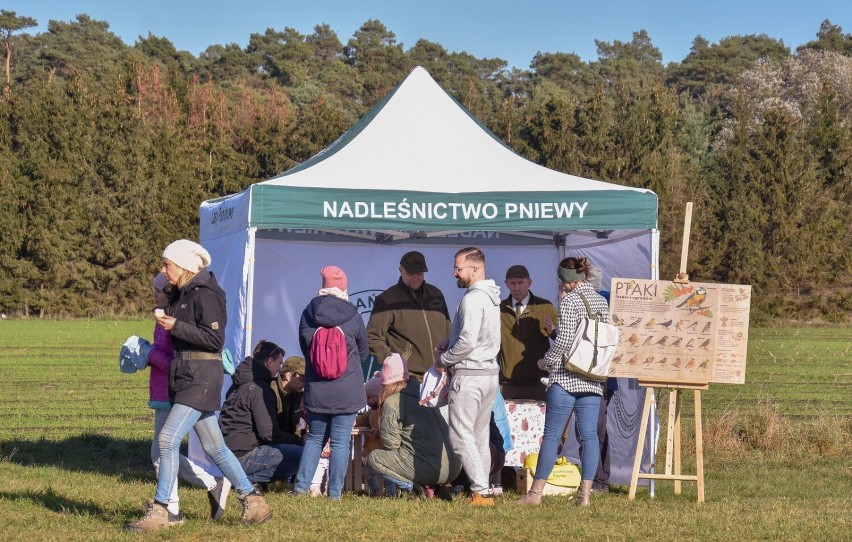 Wyścigi Psich Zaprzęgów w Koźlu. Puchar Samoyeda zakończył 2-dniową rywalizację