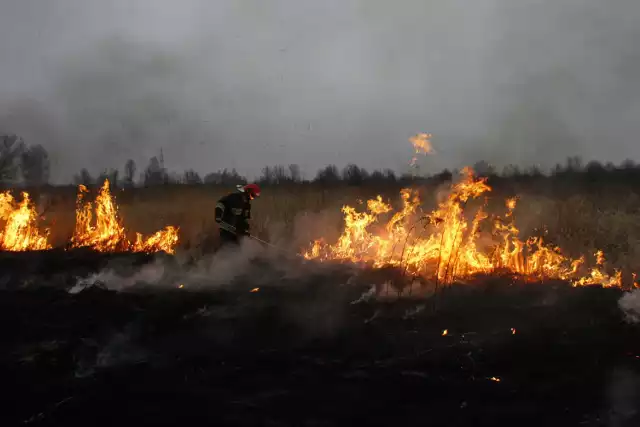 W kalendarzu grudzień, a u nas coraz częściej płoną trawy