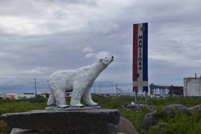 B&B w podróży przez Ameryki: niedźwiedzie polarne i...