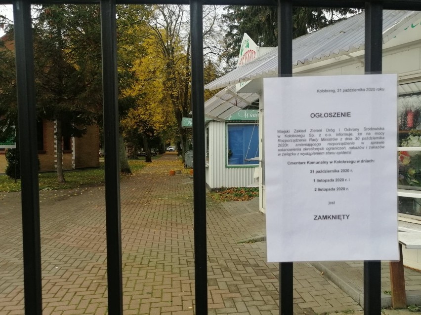 Miasto Kołobrzeg odkupi chryzantemy w doniczkach od osób, które miały handlować przed cmentarzem