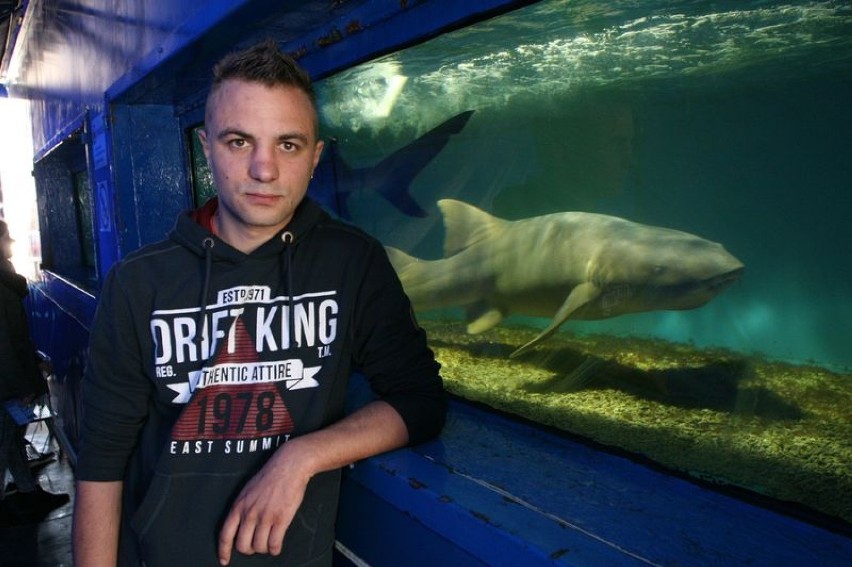 Michal Beneš przekonuje, że rekiny nie są takie straszne (w...