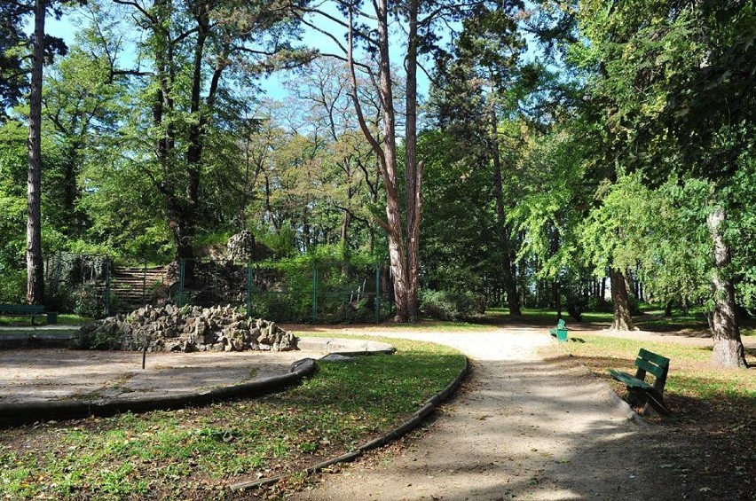 Park Młodzieżowy w Świdnicy będzie rewitalizowany