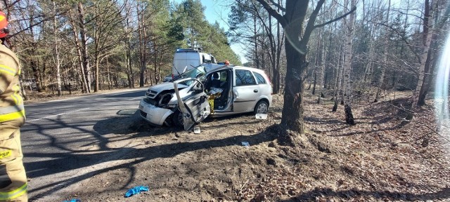W czwartek (10 marca) samochód osobowy uderzył w drzewo, do zdarzenia doszło na ul. Nowotoruńska/ Plątnowska w Bydgoszczy