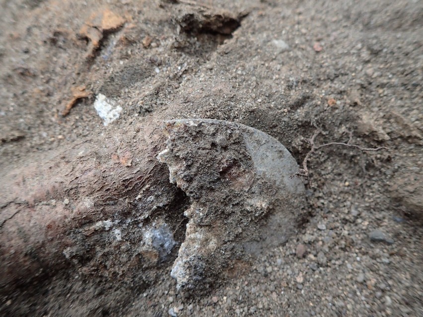 Na os. Leśnym w Kostrzynie nad Odrą odnaleziono szczątki 10...