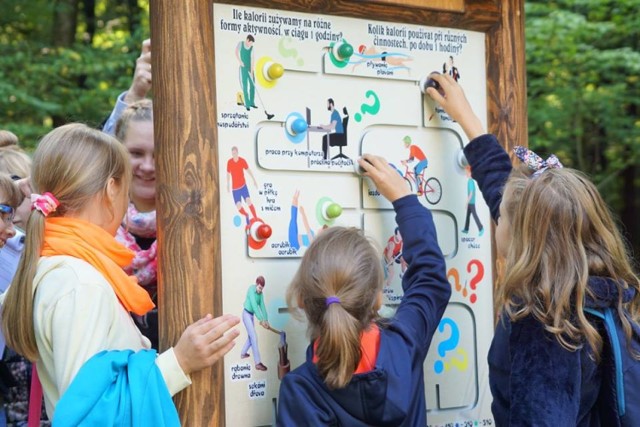 W Arboretum Bramy Morawskiej zainstalowano nową ścieżkę edukacyjną