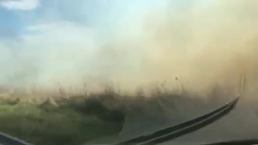 Pożar w rezerwacie przyrody w Książańskim Parku...