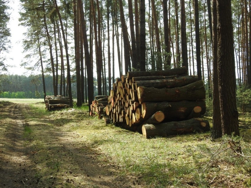 W tej chwili trudno sobie wyobrazić, że tędy będzie biegła...