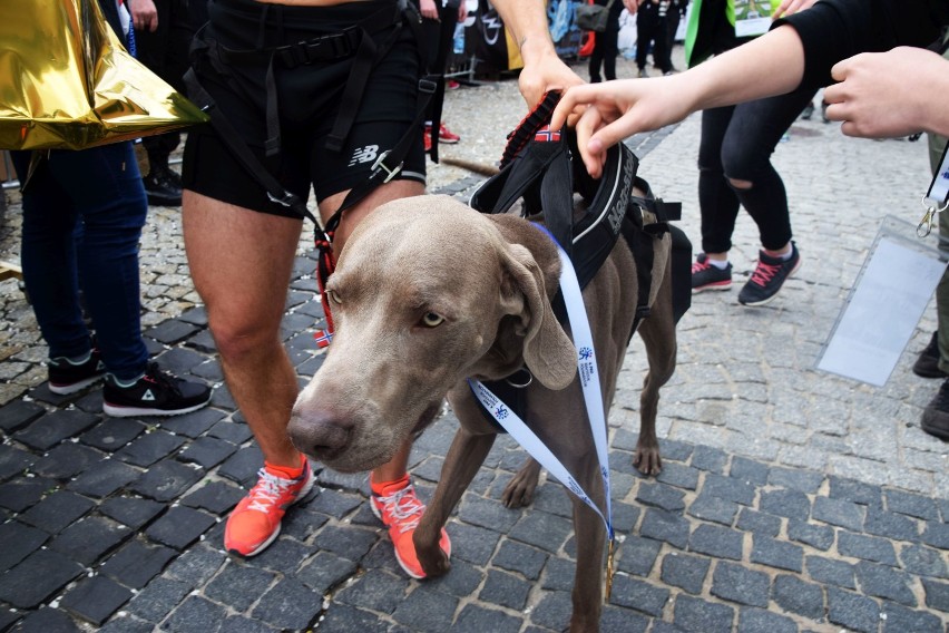 4.PKO Białystok Półmaraton