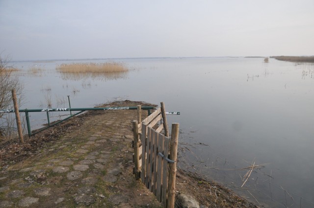 Park Narodowy "Ujście Warty" pod wodą. Warta zalała rozległe tereny, które teraz stały się azylem dla ptactwa.