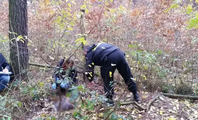 Policja ustala tożsamość denata