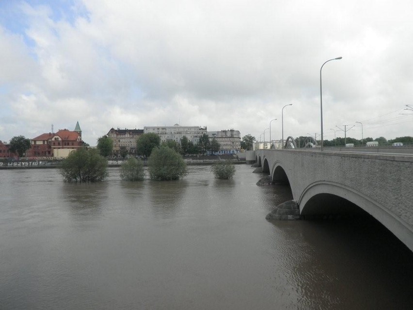 Wrocław: Odra na wysokości Mostów Warszawskich (ZDJĘCIA INTERNAUTÓW)
