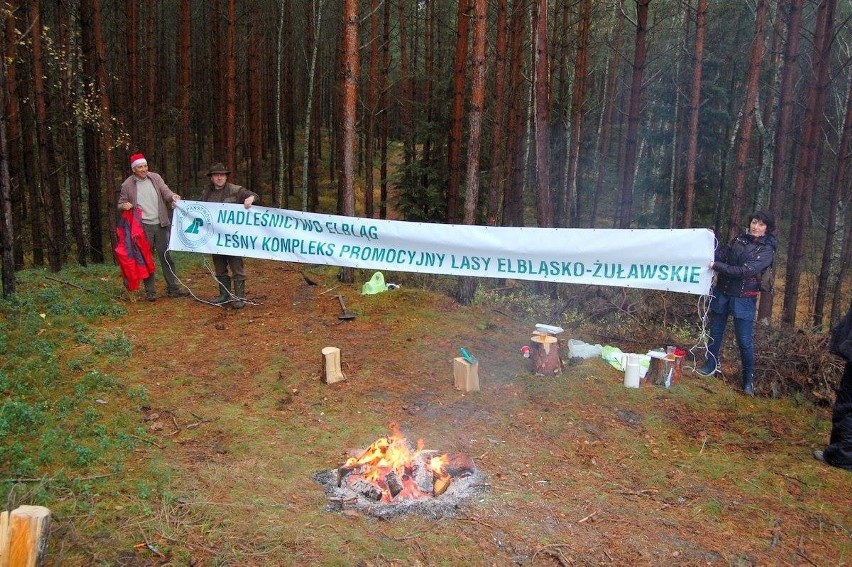 20 osób posadziło w leśnictwie Jantar na Mierzei Wiślanej...