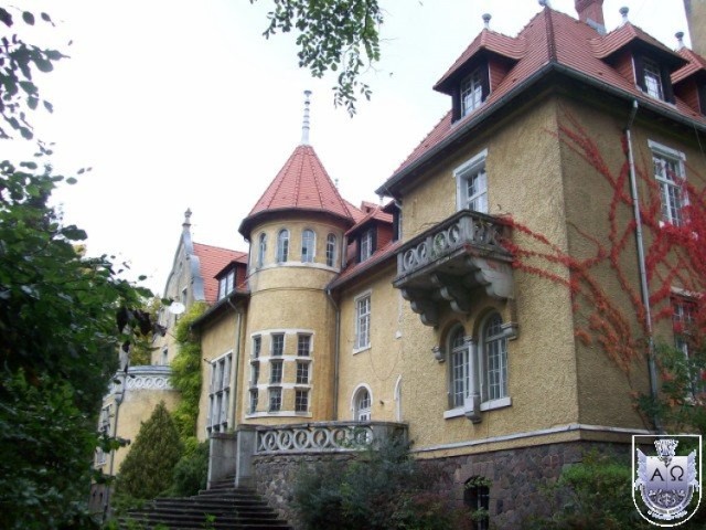 Pałac w Rogach został zbudowany na przełomie 1910 i 1911 r. przez rodzinę von Waldow, która w tym samym czasie w oddalonych o 7 km Lubniewicach budowała tzw. Nowy Zamek.