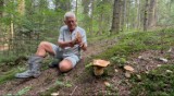 Wielki wysyp grzybów w gorlickich lasach. Piękne okazy można znaleźć na Magurze Małastowskiej, w Bartnem i Sękowej 6.07.2023