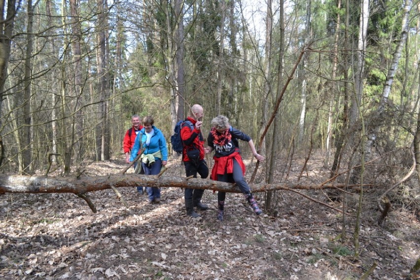 III Wędrówka z cyklu Beskid Kaszubski 10.04.2016